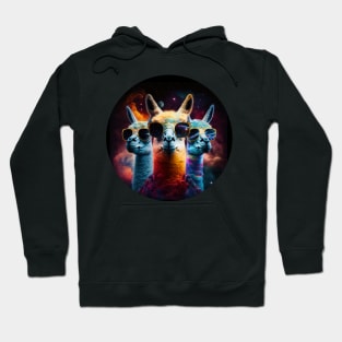 lama's in space Hoodie